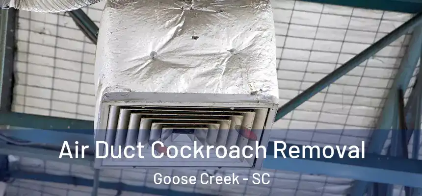 Air Duct Cockroach Removal Goose Creek - SC
