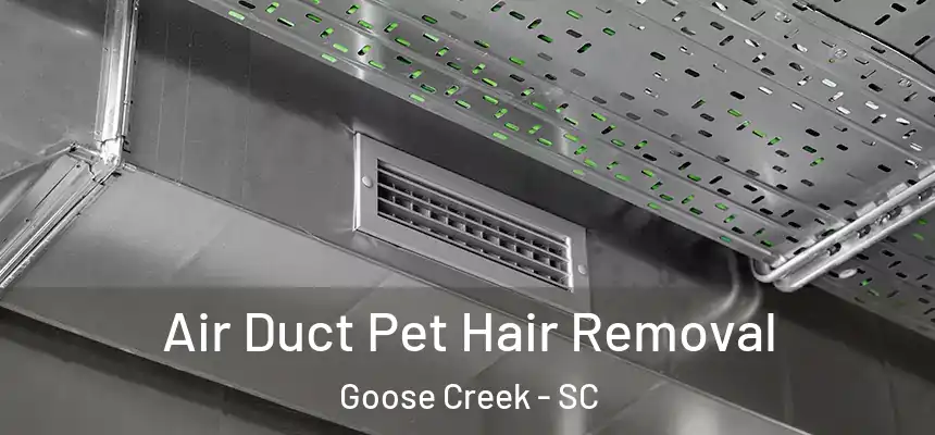 Air Duct Pet Hair Removal Goose Creek - SC