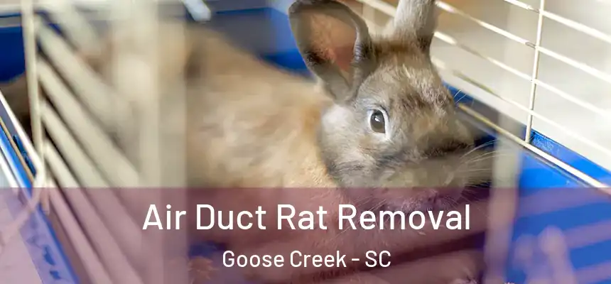  Air Duct Rat Removal Goose Creek - SC