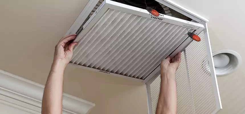Preventive Cockroach-Proofing for Ducts in Goose Creek