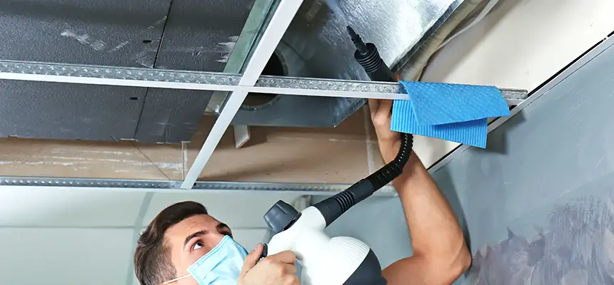 Our Air Duct Rodent Removal Services in Goose Creek, SC