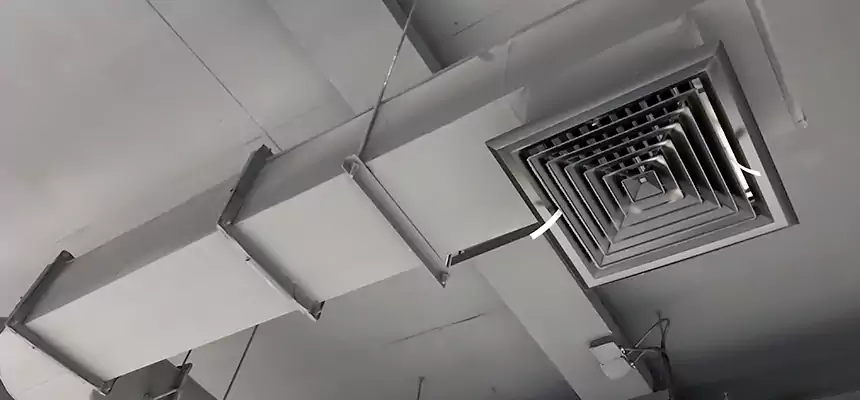 Our Pest Removal From Ducts Services in Goose Creek, SC