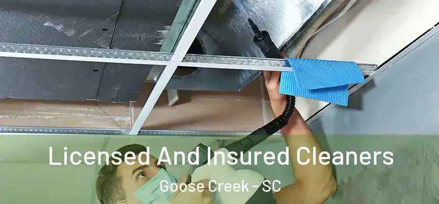 Licensed And Insured Cleaners Goose Creek - SC