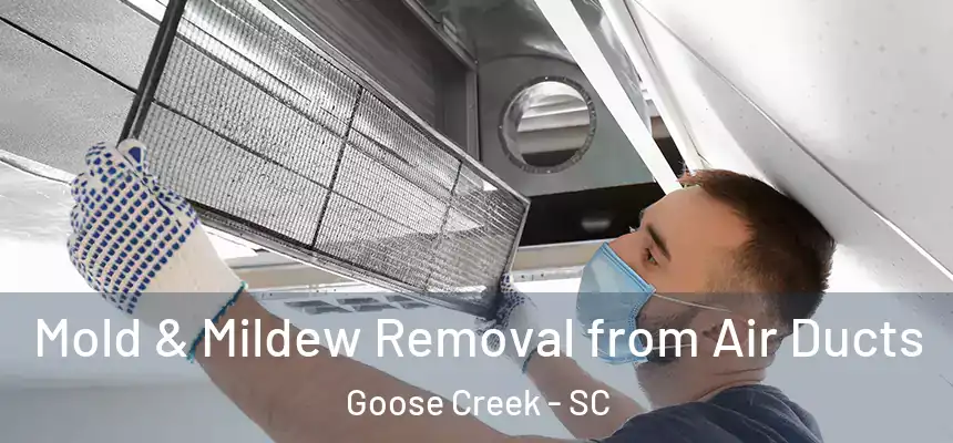 Mold & Mildew Removal from Air Ducts Goose Creek - SC