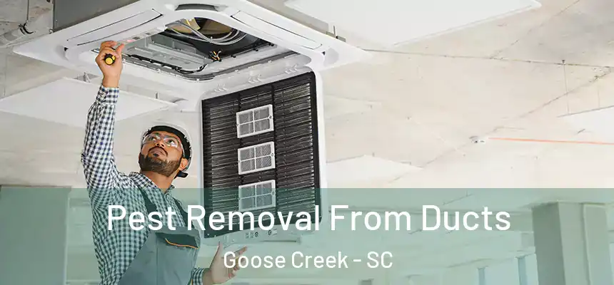 Pest Removal From Ducts Goose Creek - SC