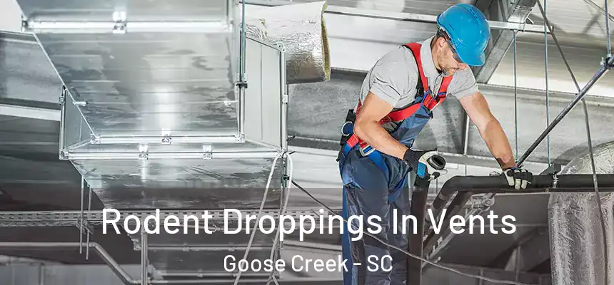  Rodent Droppings In Vents Goose Creek - SC
