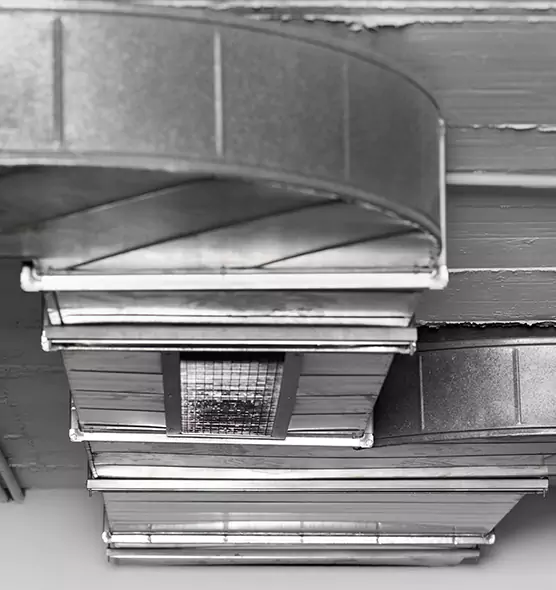 Professional Air Duct Pet Hair Removal in Goose Creek, SC