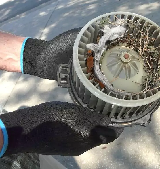 About Air Duct Rat Removal in Goose Creek, SC