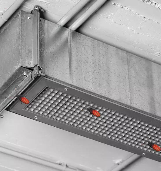 Affordable Insect Removal from Air Ducts in Goose Creek, SC