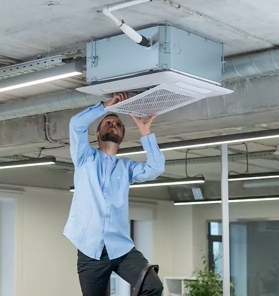 Advanced Rodent Droppings In Vents in Goose Creek, SC
