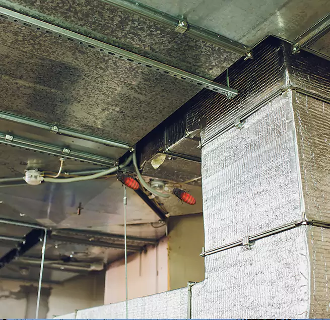 Why Homeowners & Businesses Trust Us in Goose Creek, SC?