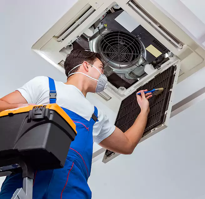 Why Homeowners & Businesses Trust Us in Goose Creek, SC