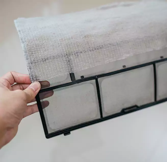 Why Homeowners & Businesses Trust Us in Goose Creek, SC?