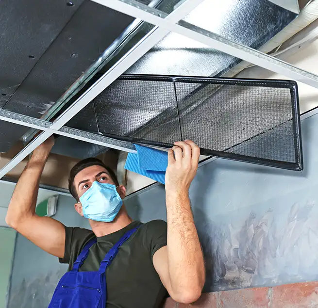 Why Homeowners & Businesses Trust Us in Goose Creek, SC?