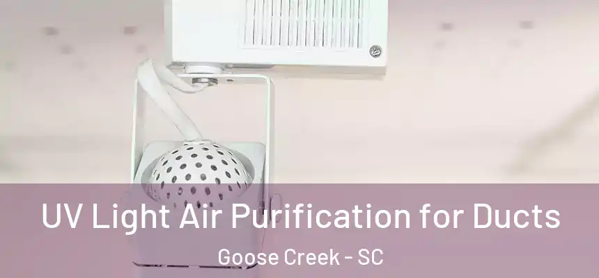  UV Light Air Purification for Ducts Goose Creek - SC